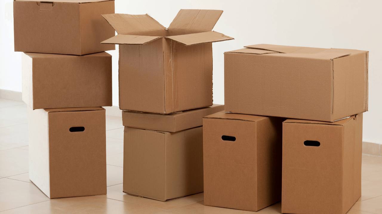Xu Hướng Phát Triển Của Công Nghiệp Thùng Carton Việt Nam?