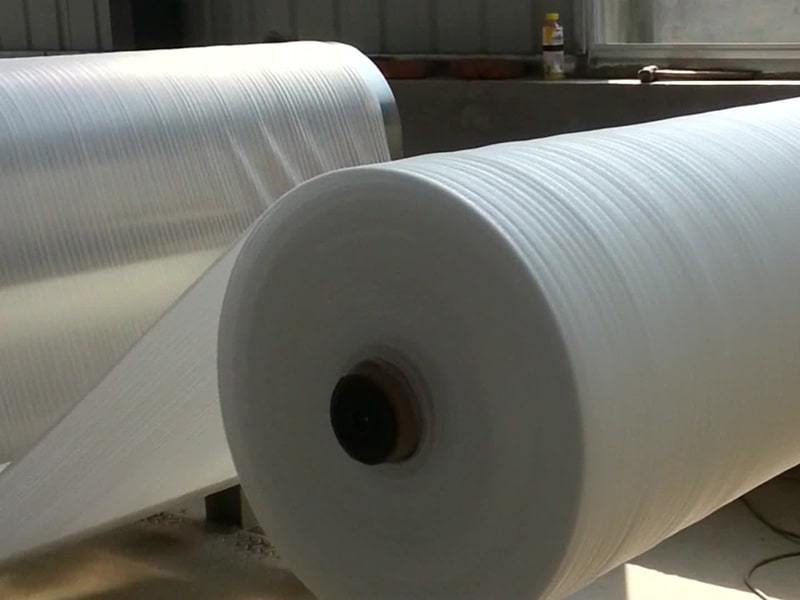Địa chỉ sản xuất và phân phối màng PE các loại uy tín tại miền Bắc
